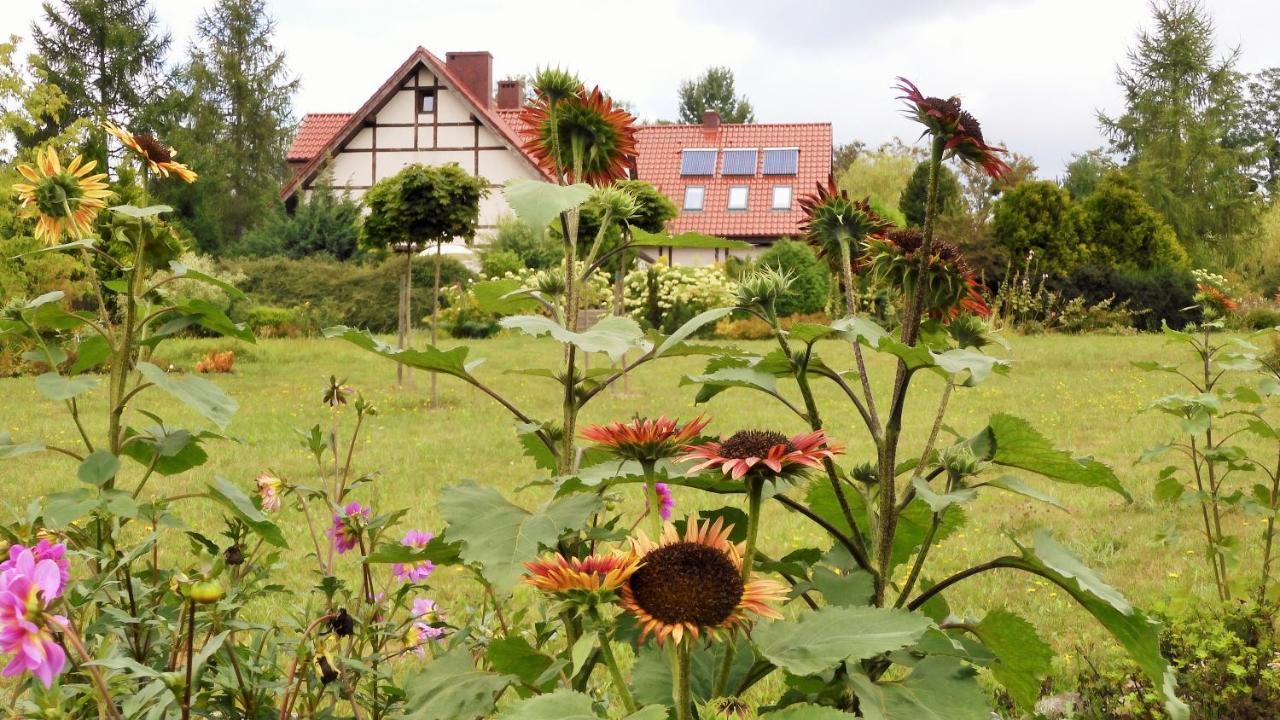 Villa Orlik Barlinek Exterior foto