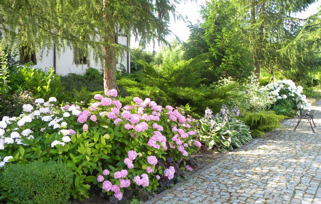 Villa Orlik Barlinek Exterior foto